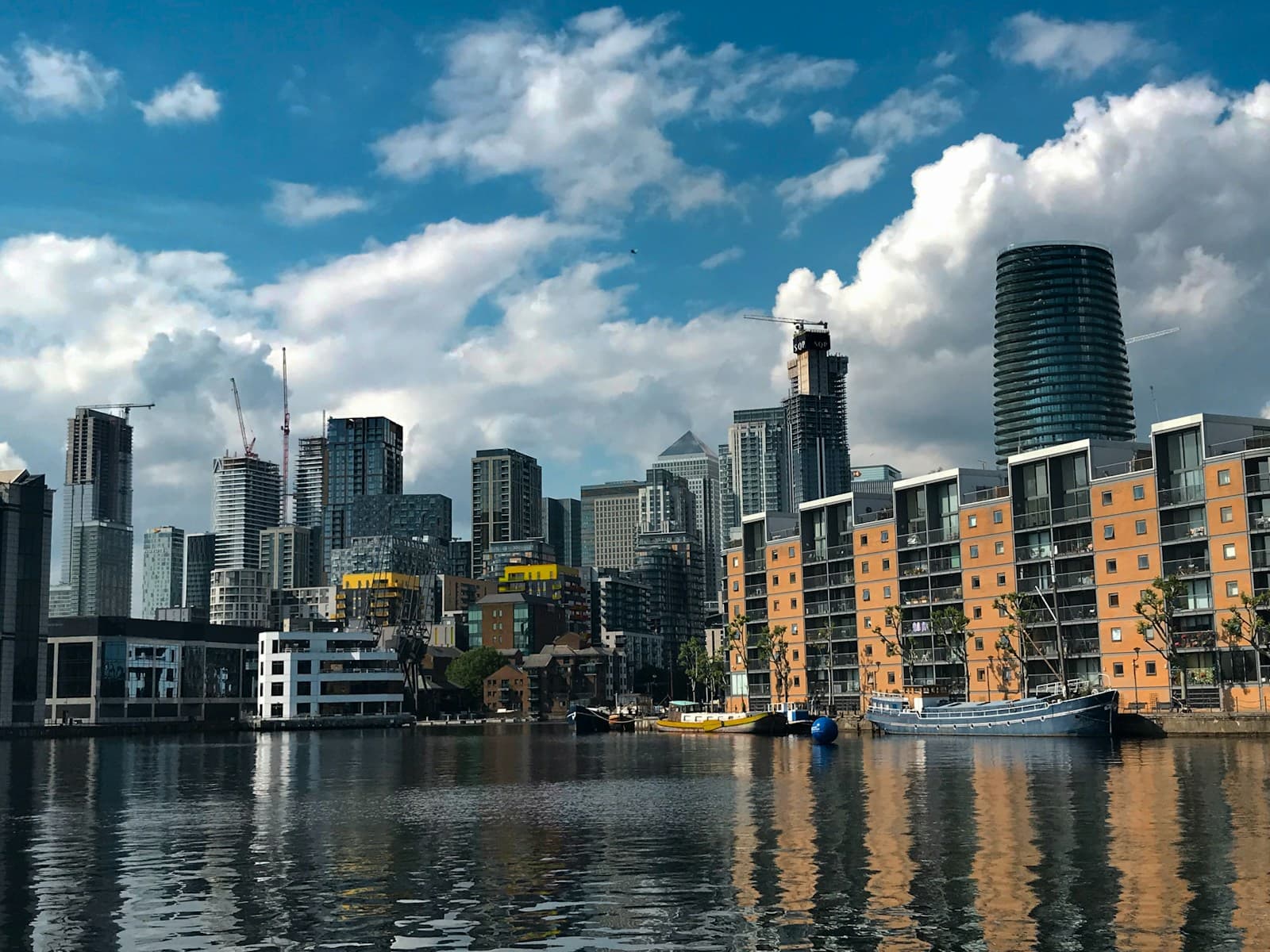 Isle of Dogs
